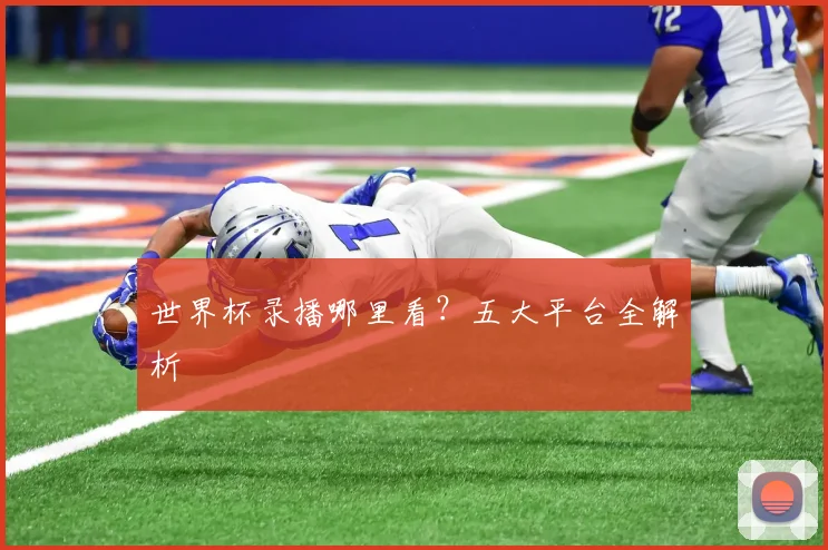 世界杯录播哪里看?五大平台全解析