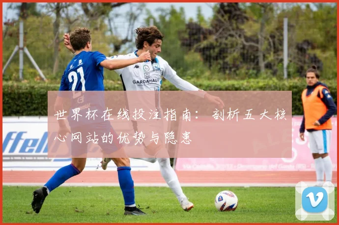 世界杯在线投注指南:剖析五大核心网站的优势与隐患