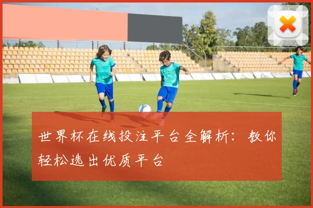 世界杯在线投注平台全解析:教你轻松选出优质平台