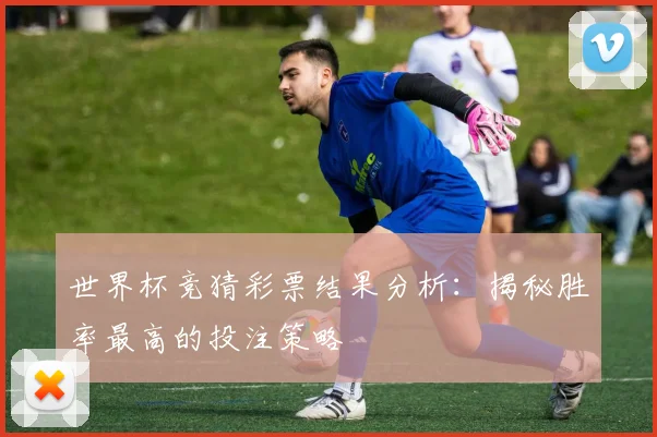 世界杯竞猜彩票结果分析:揭秘胜率最高的投注策略
