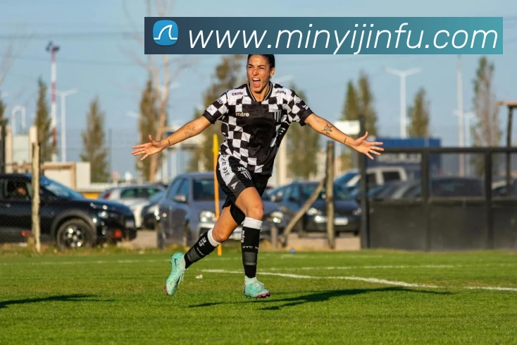 mksports在线登录平台生态图